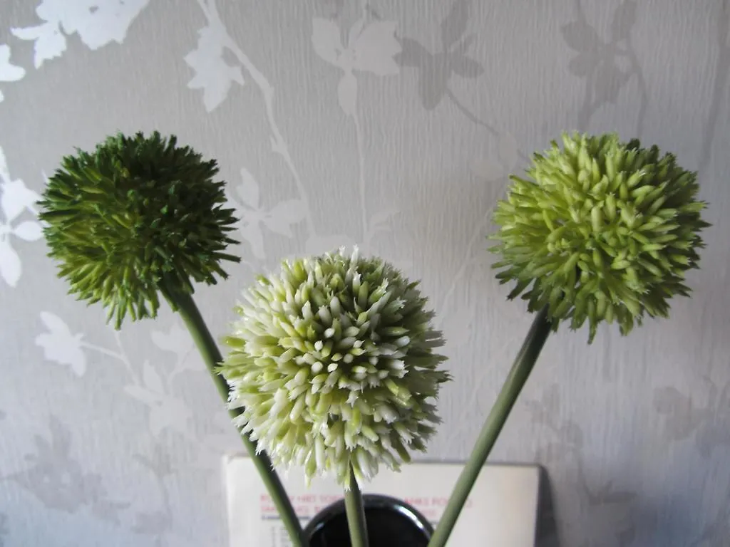 Pension Familie Spaanstra Zandvoort Bed & Breakfast